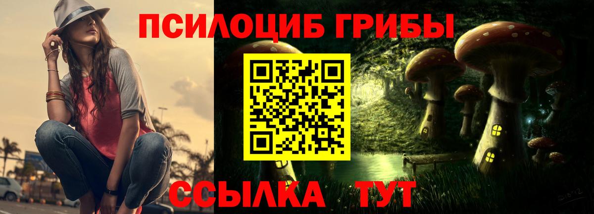 Галлюциногенные грибы прущие грибы Мытищи